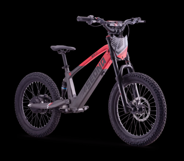 Elektro Fahrrad Sedna SX20"